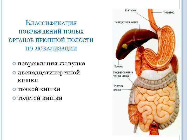 Травма брюшной полости картинка