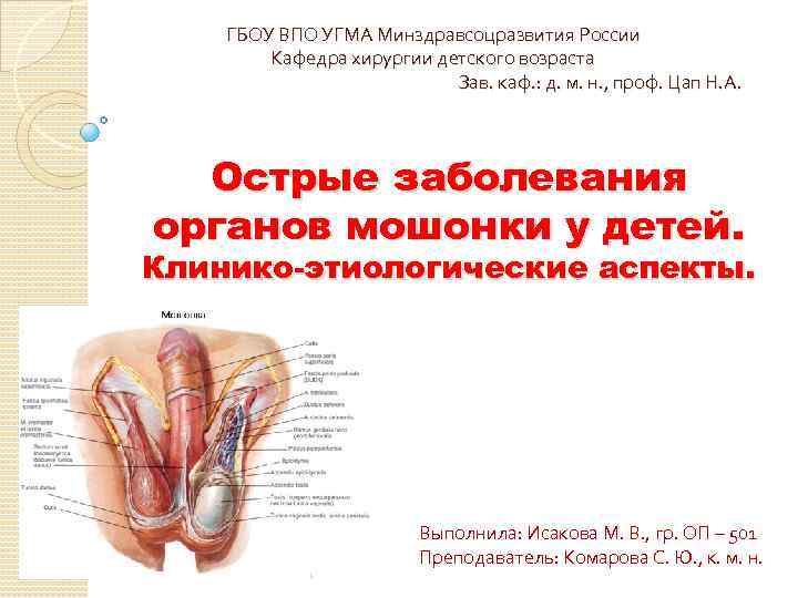 ГБОУ ВПО УГМА Минздравсоцразвития России Кафедра хирургии детского возраста Зав. каф. : д. м.