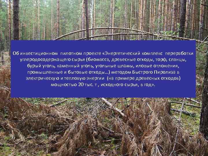 Об инвестиционном пилотном проекте «Энергетический комплекс переработки углеродосодержащего сырья (биомасса, древесные отходы, торф, сланцы,