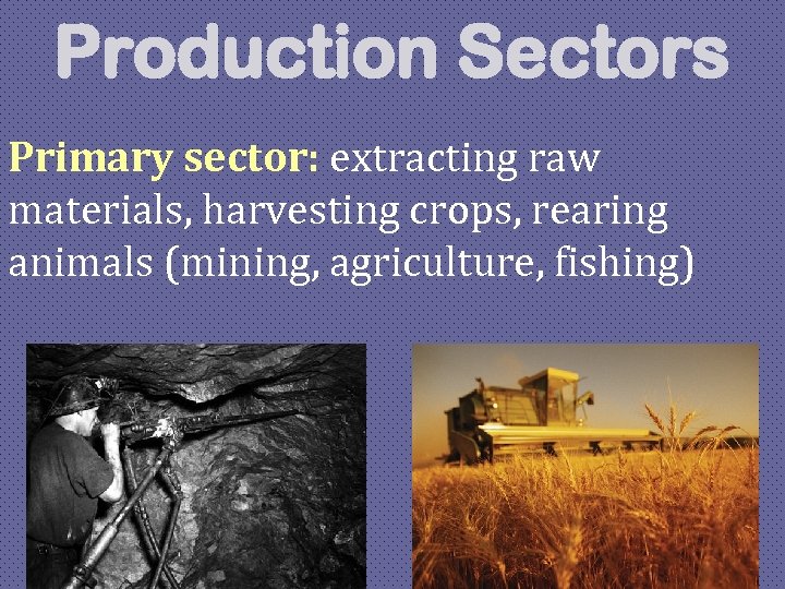 Production Sectors Primary sector: extracting raw materials, harvesting crops, rearing animals (mining, agriculture, fishing)