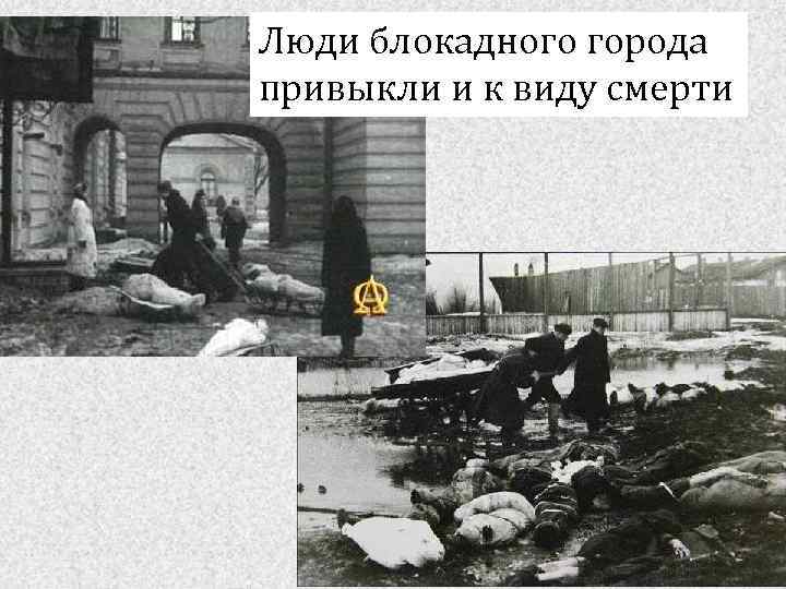 Люди блокадного города привыкли и к виду смерти 