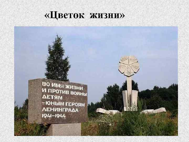  «Цветок жизни» 