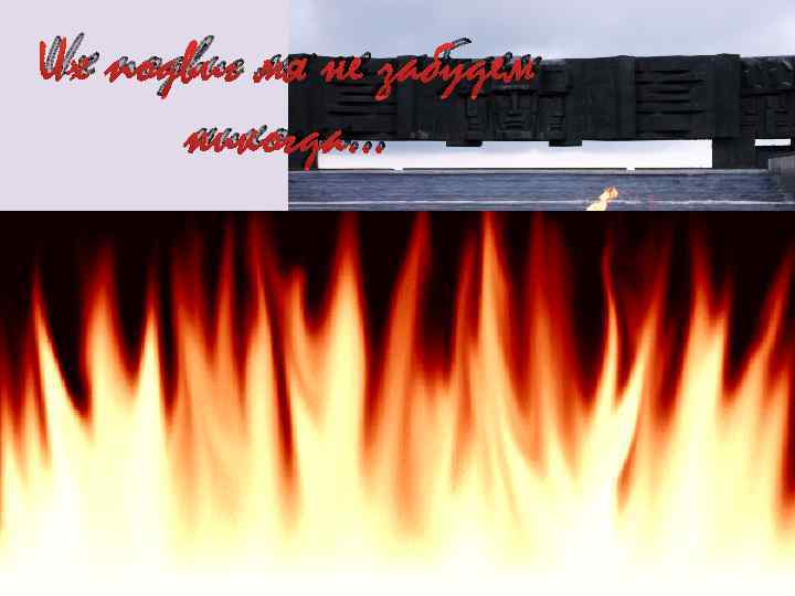 Их подвиг мя не забудем никогда… 