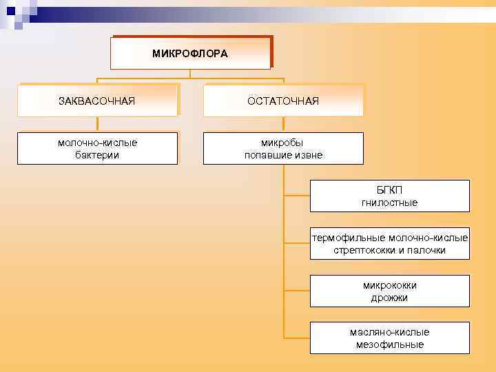 МИКРОФЛОРА ЗАКВАСОЧНАЯ ОСТАТОЧНАЯ молочно-кислые бактерии микробы попавшие извне БГКП гнилостные термофильные молочно-кислые стрептококки и