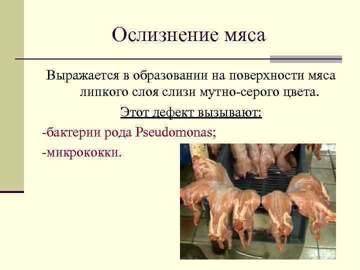 Ослизнение мяса Выражается в образовании на поверхности мяса липкого слоя слизи мутно-серого цвета. Этот