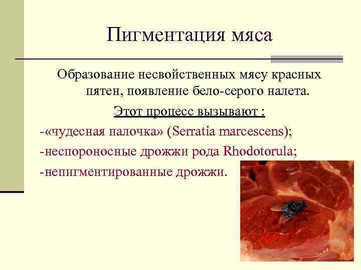 Пигментация мяса Образование несвойственных мясу красных пятен, появление бело-серого налета. Этот процесс вызывают :