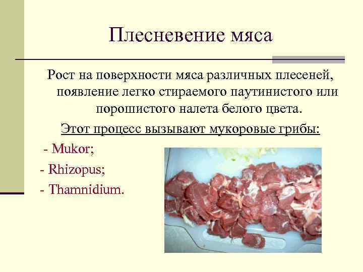 Плесневение мяса Рост на поверхности мяса различных плесеней, появление легко стираемого паутинистого или порошистого