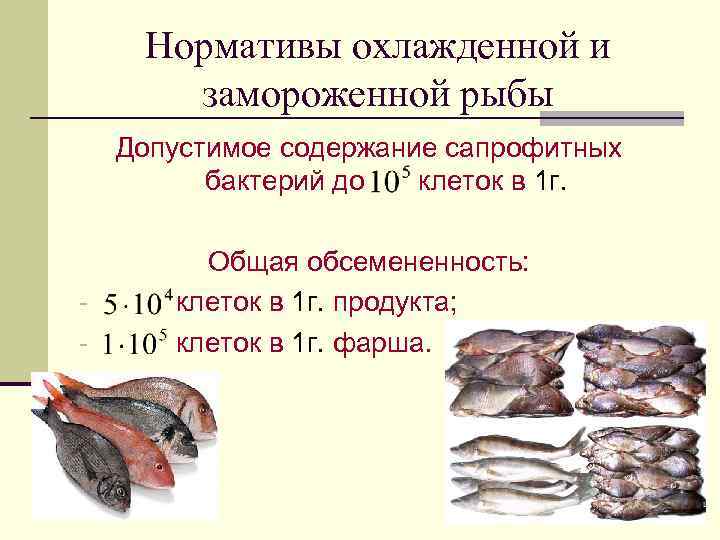 Нормативы охлажденной и замороженной рыбы Допустимое содержание сапрофитных бактерий до клеток в 1 г.