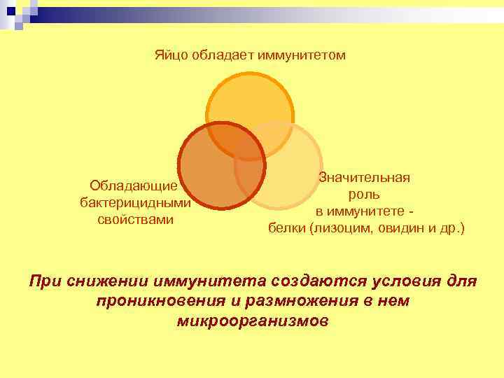 Яйцо обладает иммунитетом Обладающие бактерицидными свойствами Значительная роль в иммунитете белки (лизоцим, овидин и