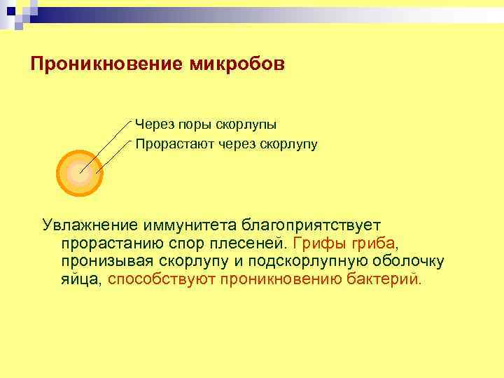 Проникновение микробов Через поры скорлупы Прорастают через скорлупу Увлажнение иммунитета благоприятствует прорастанию спор плесеней.