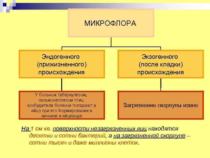 МИКРОФЛОРА Эндогенного (прижизненного) происхождения Экзогенного (после кладки) происхождения У больных туберкулезом, сальмонеллезом птиц возбудители