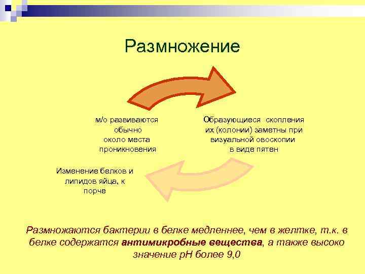 Размножение м/о развиваются обычно около места проникновения Образующиеся скопления их (колонии) заметны при визуальной