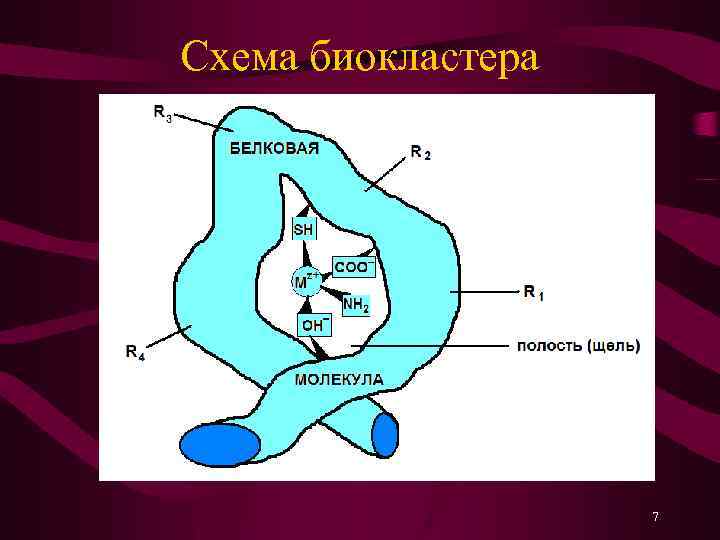 Схема биокластера 7 