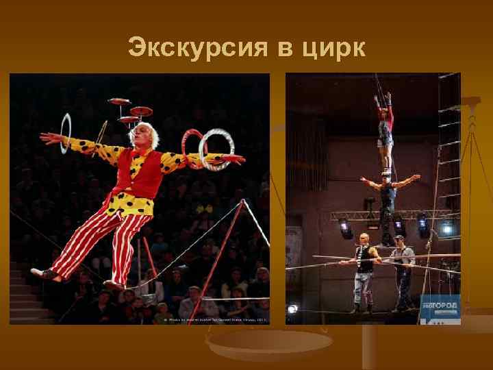 Экскурсия в цирк 