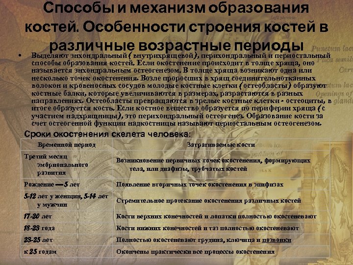 Способы и механизм образования костей. Особенности строения костей в различные возрастные периоды • Выделяют