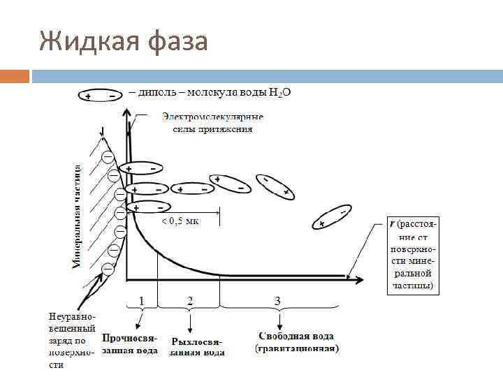 Жидкая фаза 