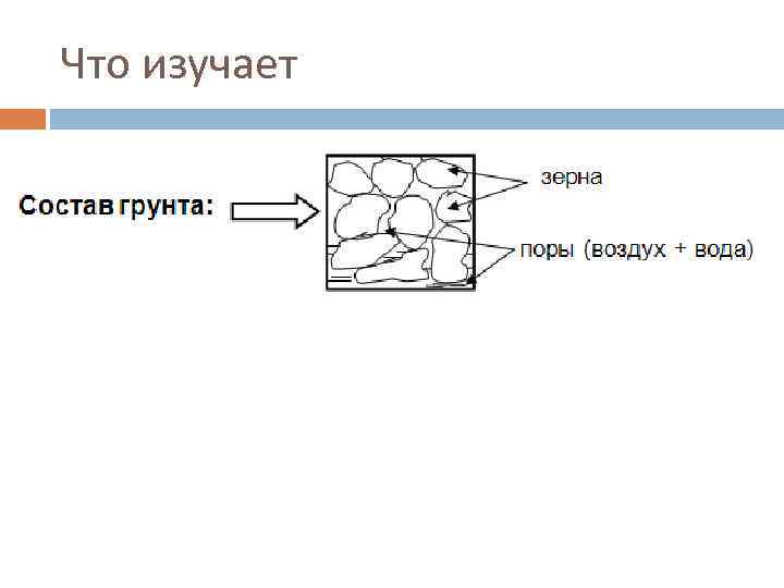 Что изучает 