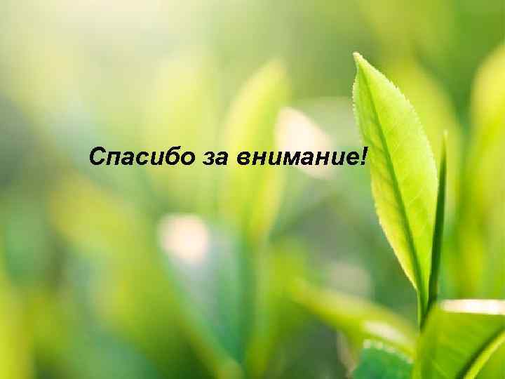 Спасибо за внимание! 