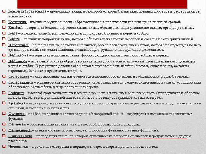 q Ксилема (древесина) – проводящая ткань, по которой от корней к листьям поднимается вода