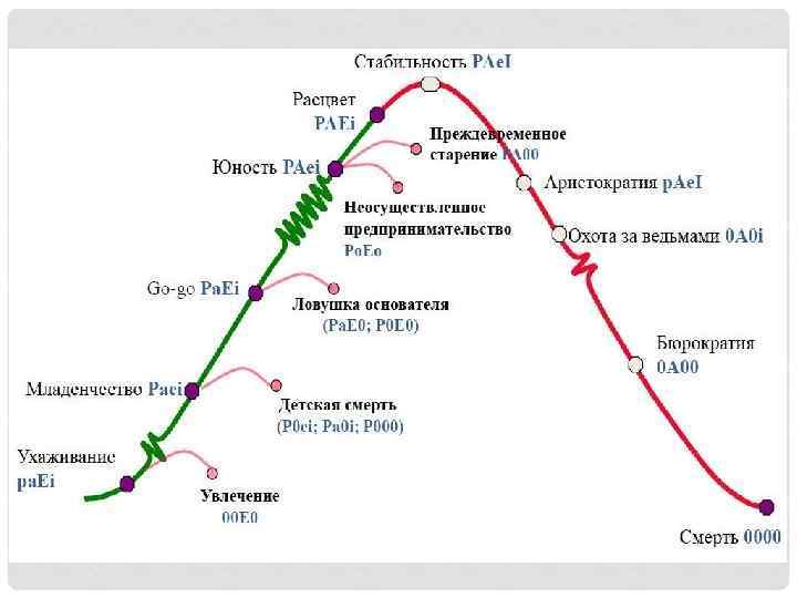 Результаты теста адизеса. Жизненный цикл компании по Адизесу. Стадии жизненного цикла организации по Адизесу. Ицхак Адизес схема. Модель жизненного цикла по Адизесу.