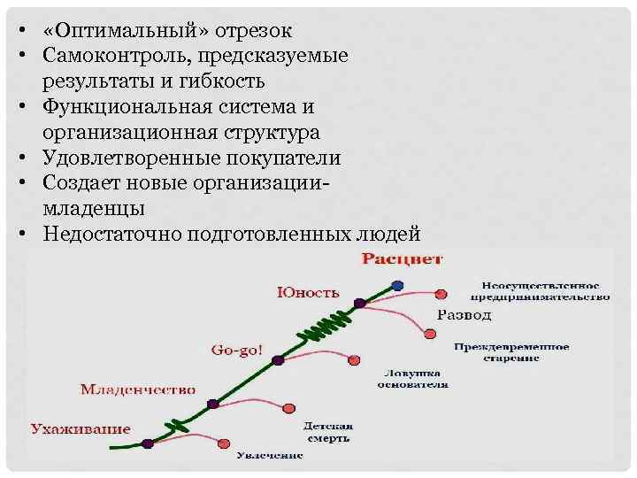  • «Оптимальный» отрезок • Самоконтроль, предсказуемые результаты и гибкость • Функциональная система и