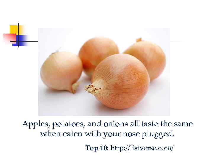 Apples, potatoes, and onions all taste the same when eaten with your nose plugged.