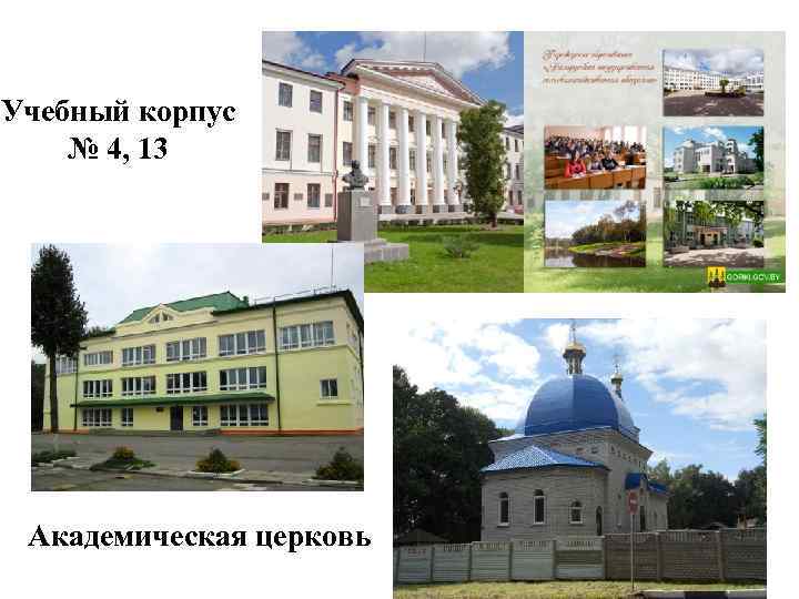 Belgorod State Agricultural Academy Белгородская Государственная Сельскохозяйственная Академия В Я Горина