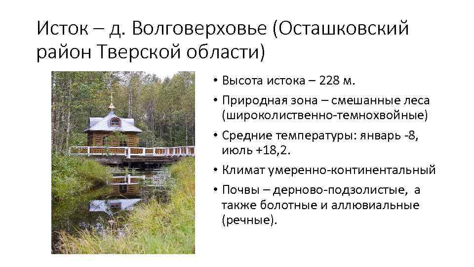 Исток – д. Волговерховье (Осташковский район Тверской области) • Высота истока – 228 м.
