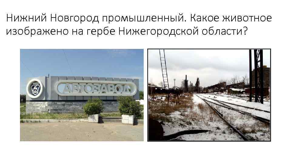 Нижний Новгород промышленный. Какое животное изображено на гербе Нижегородской области? 
