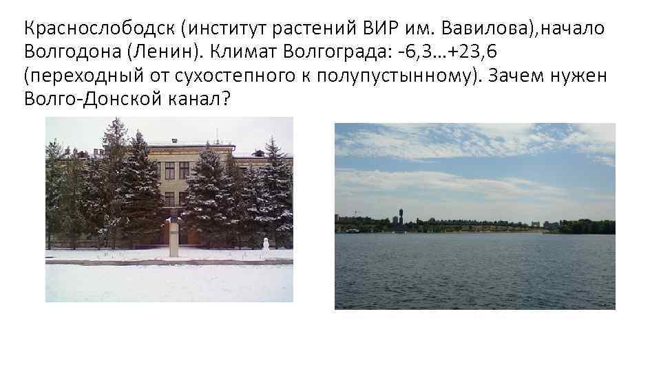 Краснослободск (институт растений ВИР им. Вавилова), начало Волгодона (Ленин). Климат Волгограда: -6, 3…+23, 6