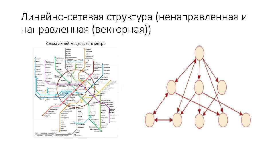 Линейно-сетевая структура (ненаправленная и направленная (векторная)) 