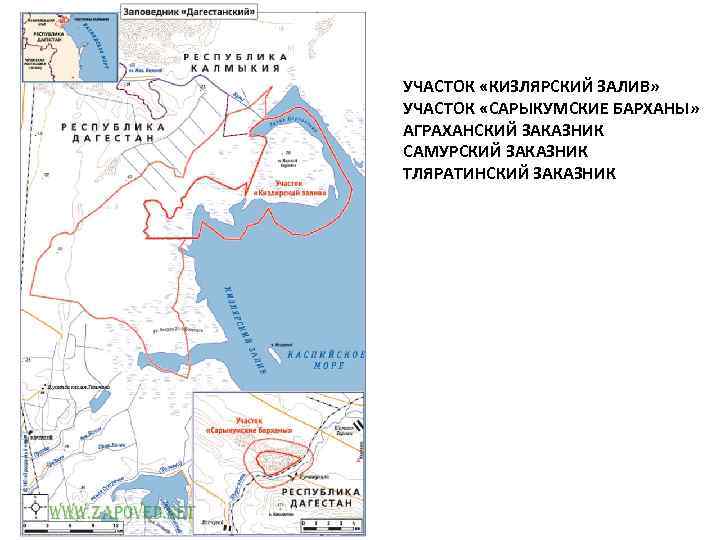 Заповедники дагестана презентация