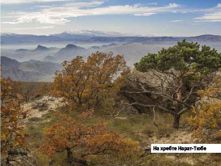 На хребте Нарат-Тюбе 