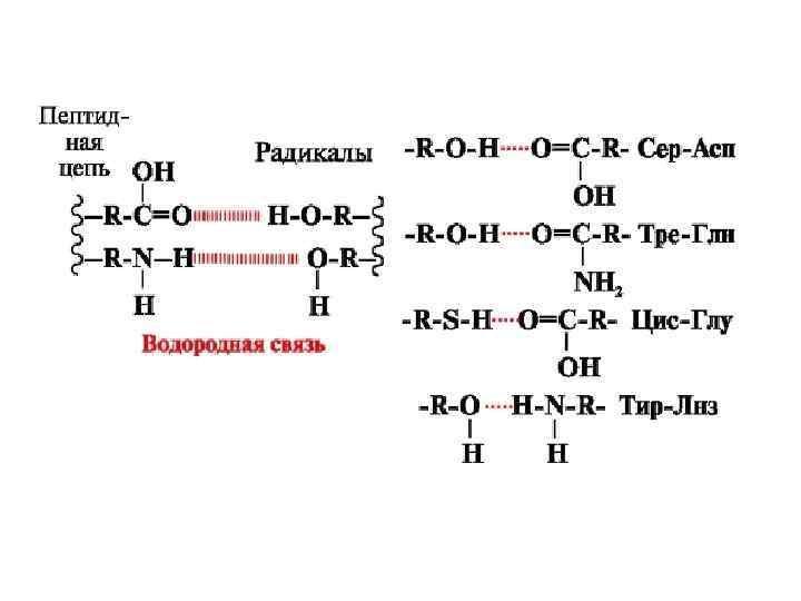 Аминокислоты и водород