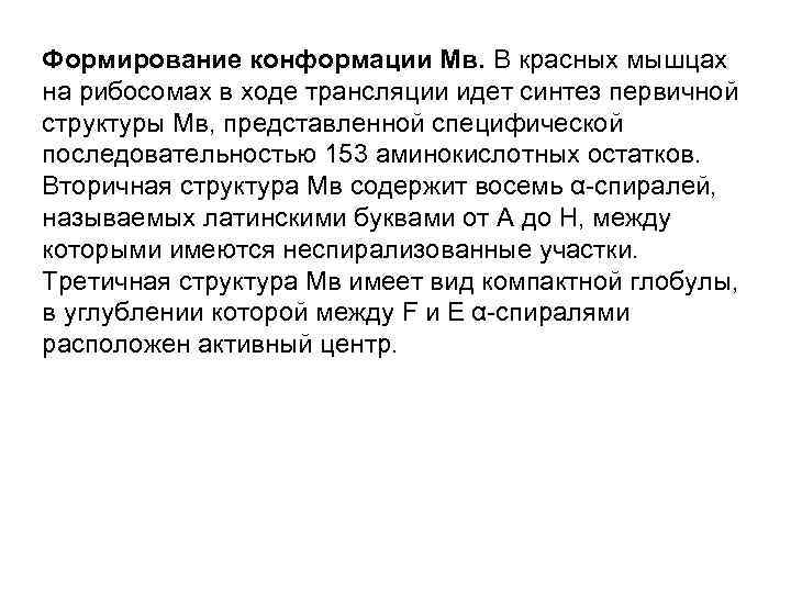 Формирование конформации Мв. В красных мышцах на рибосомах в ходе трансляции идет синтез первичной