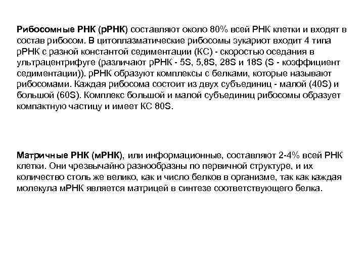 Рибосомные РНК (р. РНК) составляют около 80% всей РНК клетки и входят в состав