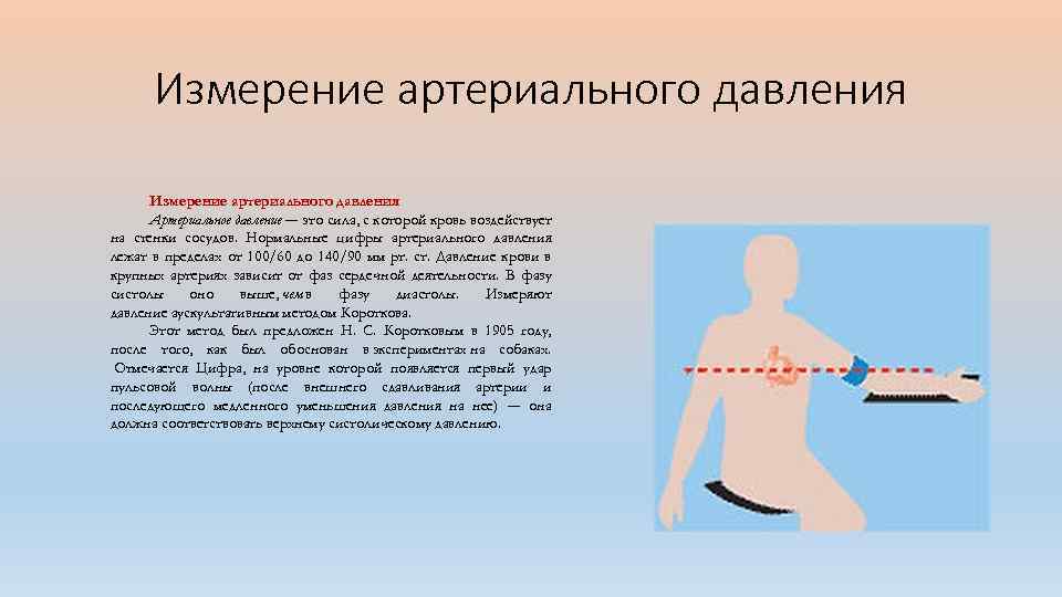 Измерение артериального давления Артериальное давление — это сила, с которой кровь воздействует на стенки