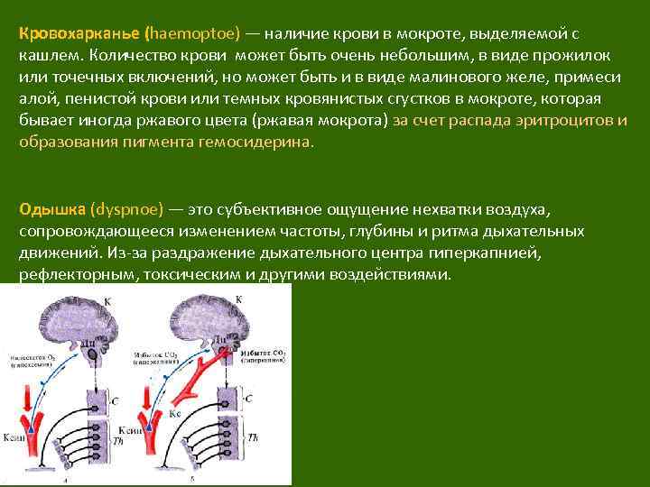Кровохарканье (haemoptoe) — наличие крови в мокроте, выделяемой с кашлем. Количество крови может быть