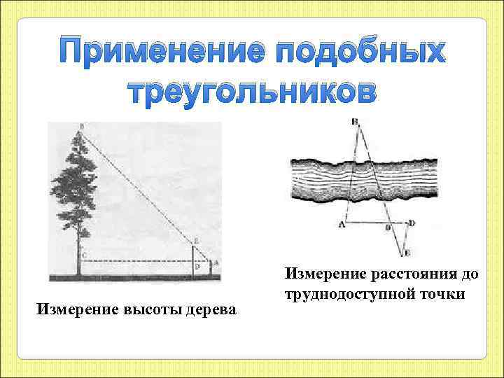Применение подобных треугольников Измерение высоты дерева Измерение расстояния до труднодоступной точки 