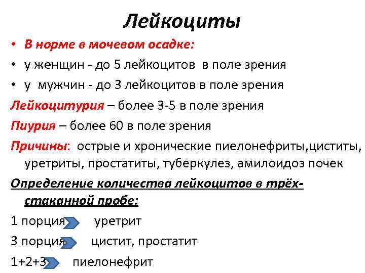 Количество лейкоцитов норма у женщин. Лейкоциты норма. Лейкоциты норма у женщин. Норма лейкоцитов в крови у женщин. Лейкоциты нормативы у женщин.