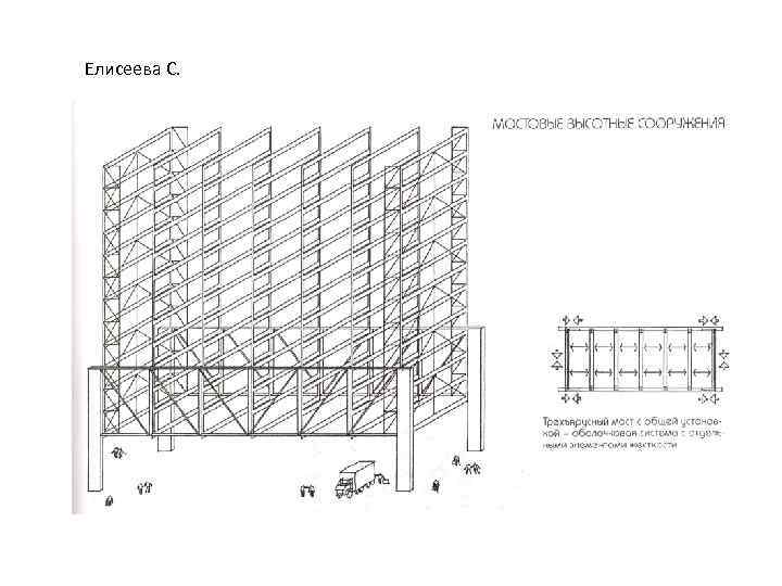 Елисеева С. 