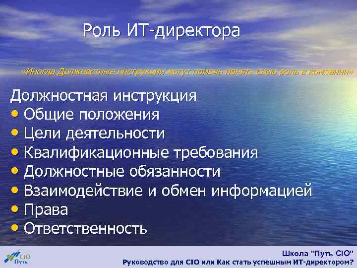 Должностная инструкция руководителя проекта в ит