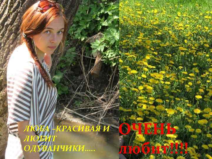 ЛЮБА –КРАСИВАЯ И ЛЮБИТ ОДУВАНЧИКИ…. . 14. 02. 2018 Patjupo_Z 14_V 12_LF_Gr 29 ОЧЕНЬ