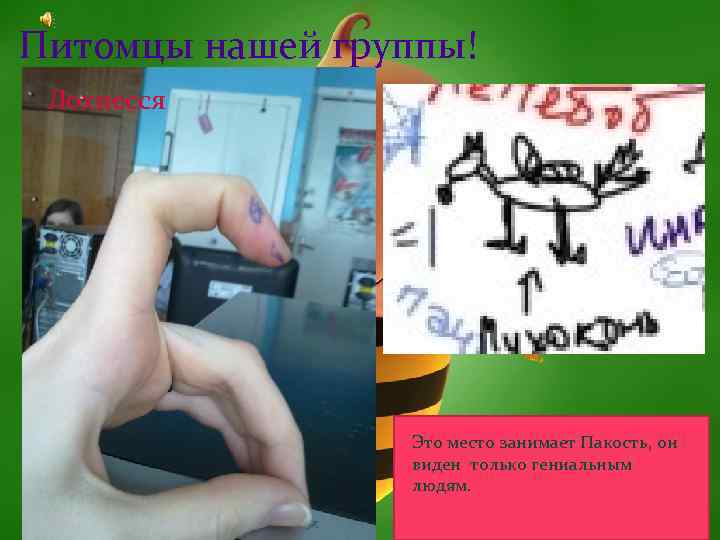 Питомцы нашей группы! Лохнесся Это место занимает Пакость, он виден только гениальным людям. 14.