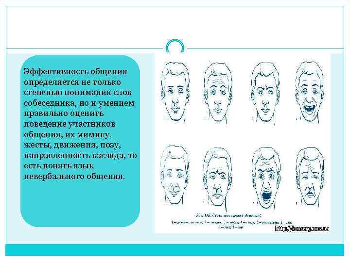 Эффективность общения определяется не только степенью понимания слов собеседника, но и умением правильно оценить