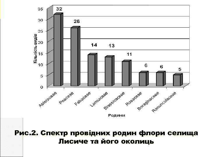 Рис. 2. Спектр провідних родин флори селища Лисиче та його околиць 