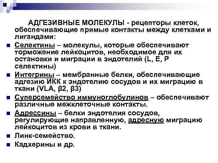 n n n АДГЕЗИВНЫЕ МОЛЕКУЛЫ - рецепторы клеток, обеспечивающие прямые контакты между клетками и