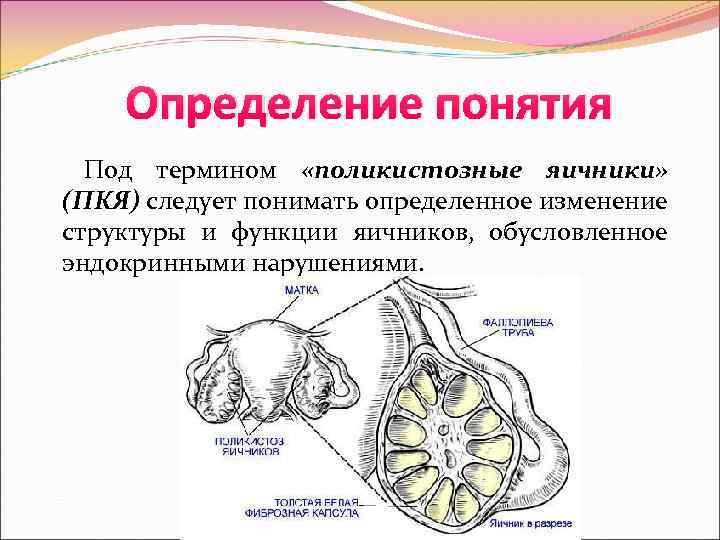 Яичники определения. Определение функции яичников. Каковы функции яичников. Какую функцию выполняет яичник. Функции правого яичника.