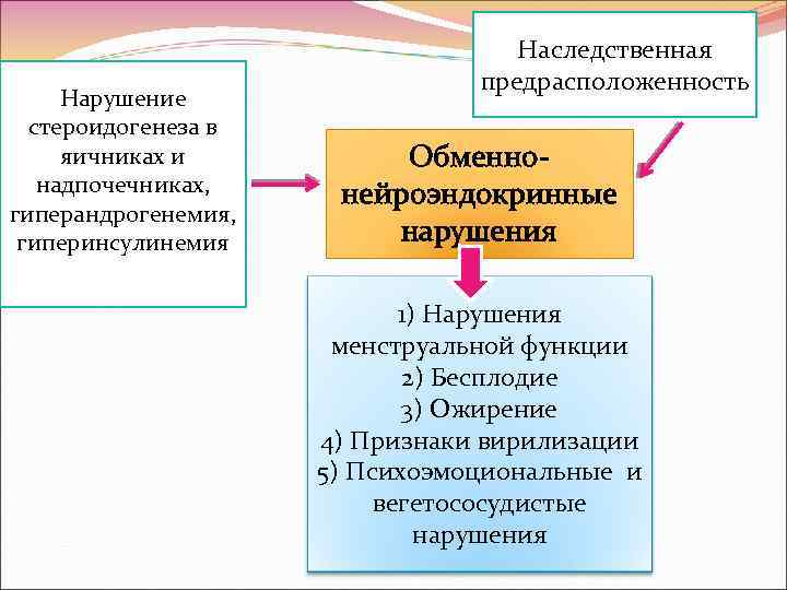 Схема стероидогенеза в яичниках