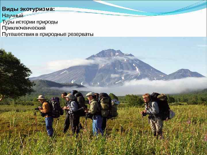 Контрольная работа по теме Виды экологического туризма